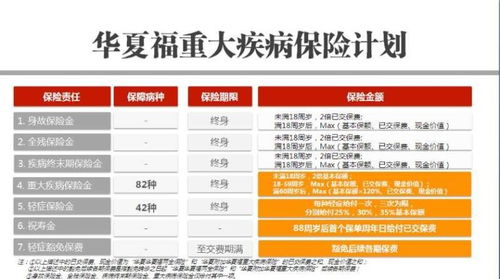 保險代理人的一日安排 從規(guī)劃到執(zhí)行的代理代辦之路