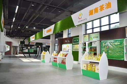 邵陽(yáng)新增AAA級(jí)景區(qū)名單公示，趁秋高氣爽，來(lái)一場(chǎng)技術(shù)與自然的融合之旅